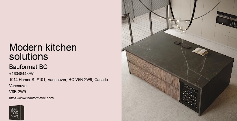 German Kitchen Cabinets Vancouver Renovation