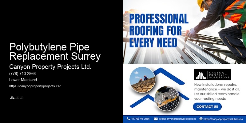 Trusted Polybutylene Pipe Services Polybutylene Pipe Replacement Surrey