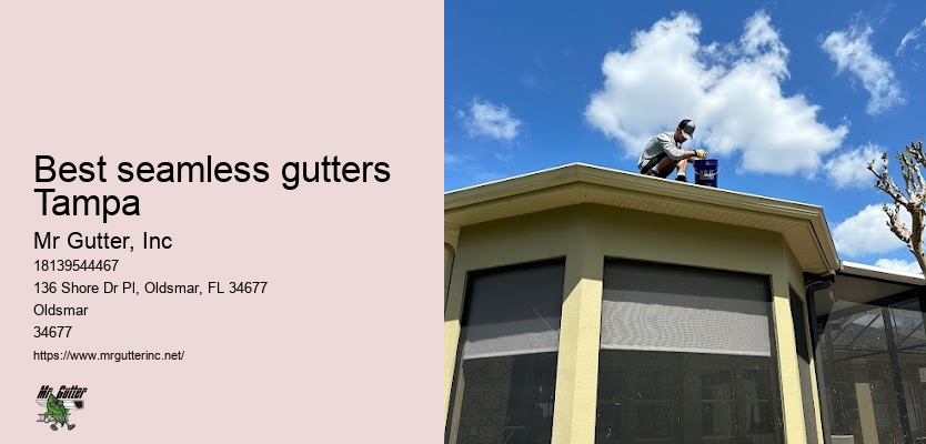 Best seamless gutters Tampa gutter repair estimates