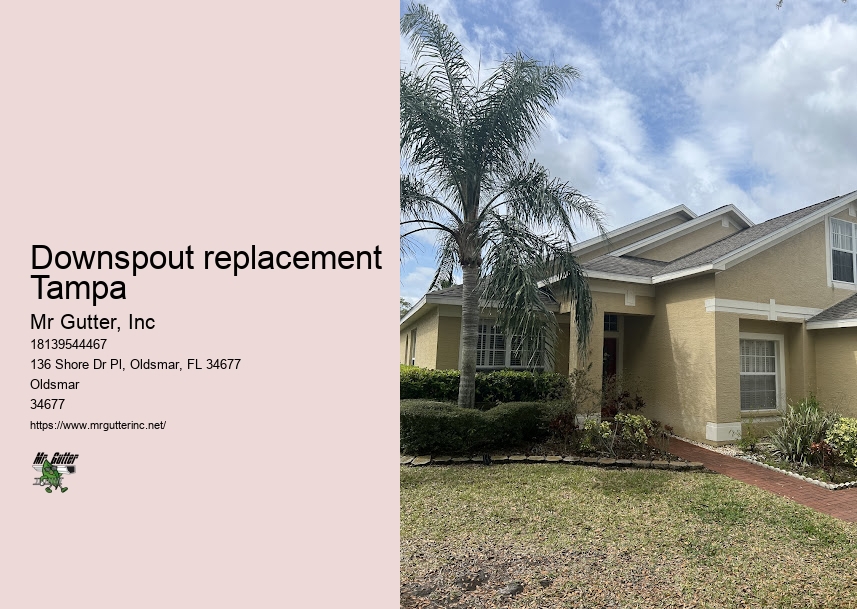 Gutter protection reviews Downspout replacement Tampa