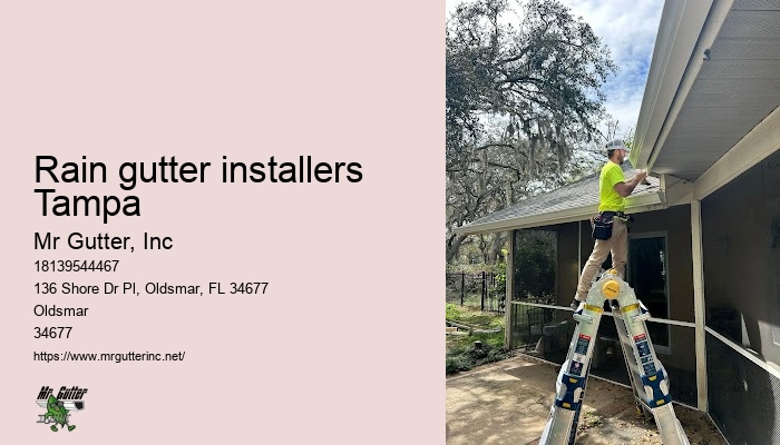 Rain gutter installers Tampa custom gutters
