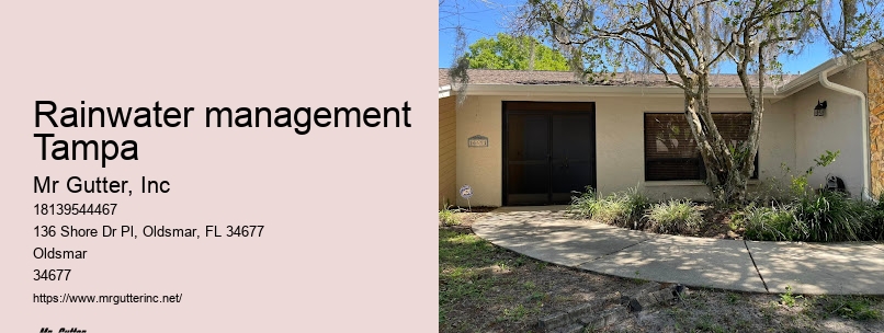 Gutter installation promotion Rainwater management Tampa