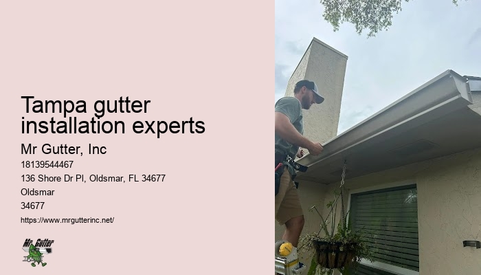 Gutter guards installation Tampa gutter installation experts