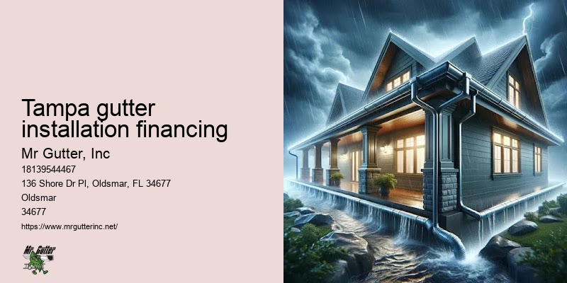 Professional Gutter Installers Tampa gutter installation financing