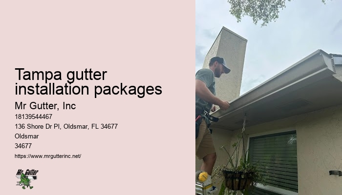 Tampa gutter installation packages gutter system upgrade