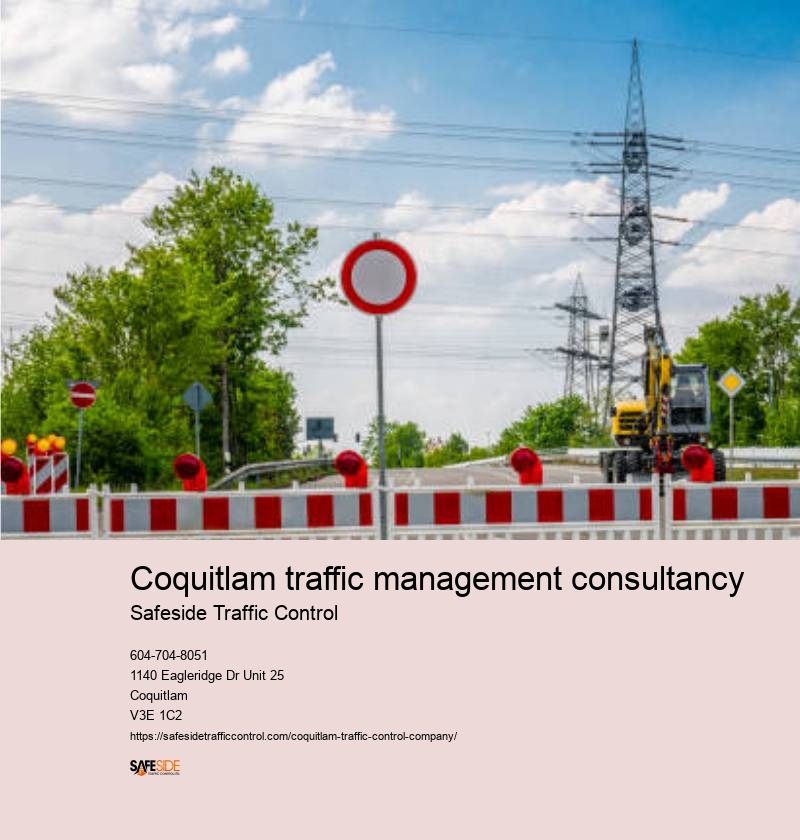 Traffic management consulting experts