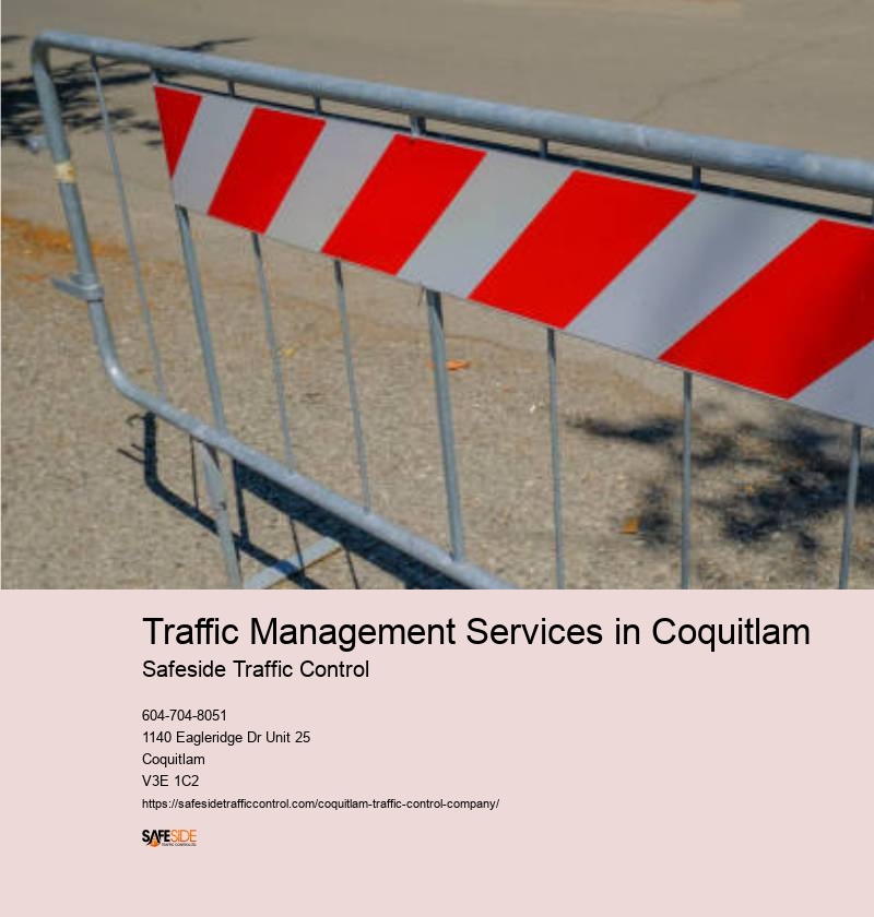 Proactive traffic management services